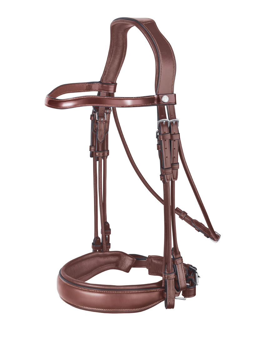 Dressage bridle 4E158 Prestige Italia